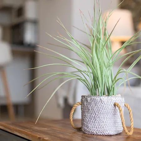 Apartmán Home2book Esmeralda Beach, Resid Playa Paraiso