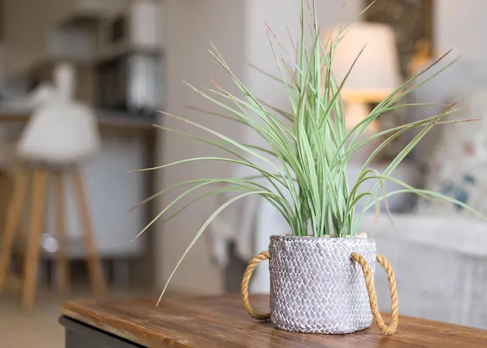 Apartman Home2book Esmeralda Beach, Resid Playa Paraiso